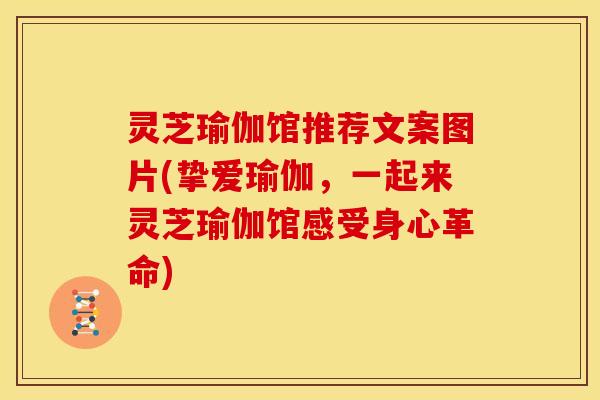 灵芝瑜伽馆推荐文案图片(挚爱瑜伽,一起来灵芝瑜伽馆感受身心革命)