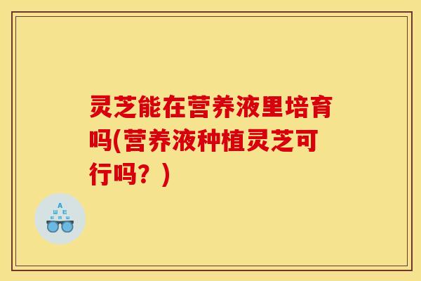 灵芝能在营养液里培育吗(营养液种植灵芝可行吗?)