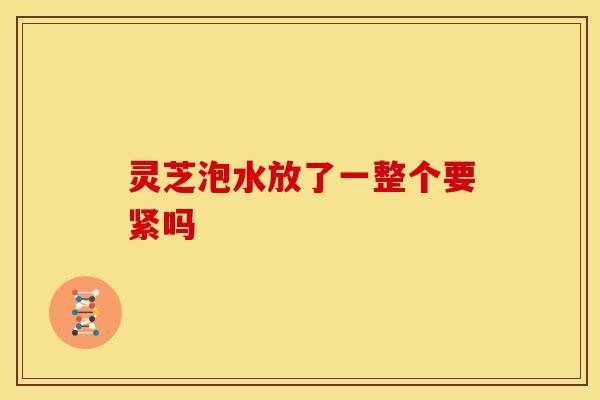 灵芝泡水放了一整个要紧吗