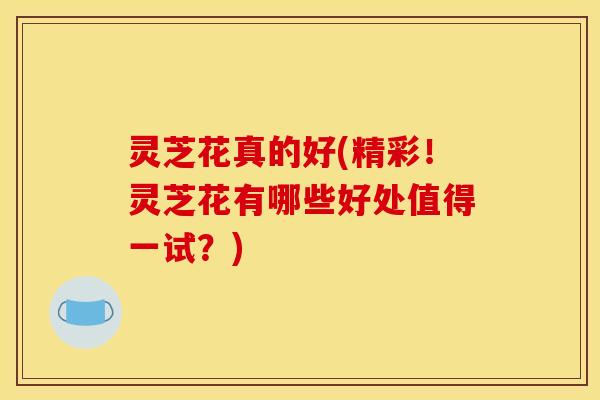 灵芝花真的好(精彩!灵芝花有哪些好处值得一试?)