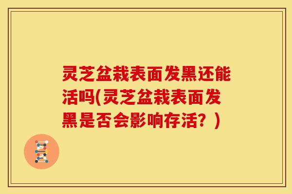 灵芝盆栽表面发黑还能活吗(灵芝盆栽表面发黑是否会影响存活？)