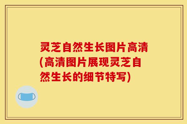 灵芝自然生长图片高清(高清图片展现灵芝自然生长的细节特写)