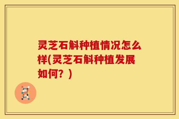 灵芝石斛种植情况怎么样(灵芝石斛种植发展如何?)