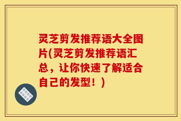 灵芝剪发推荐语大全图片(灵芝剪发推荐语汇总,让你快速了解适合自己的发型!)