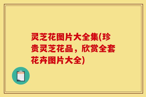 灵芝花图片大全集(珍贵灵芝花品，欣赏全套花卉图片大全)