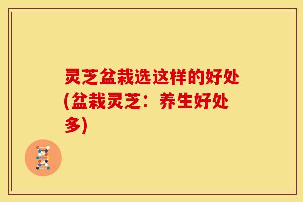 灵芝盆栽选这样的好处(盆栽灵芝:养生好处多)
