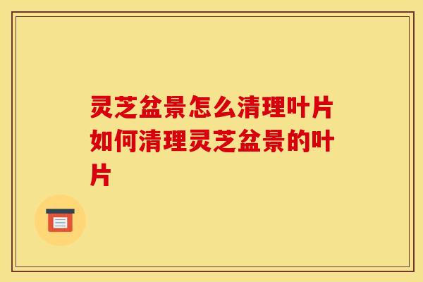 灵芝盆景怎么清理叶片如何清理灵芝盆景的叶片