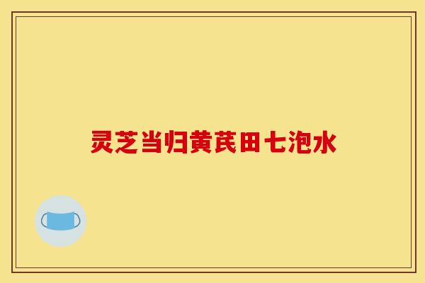灵芝当归黄芪田七泡水