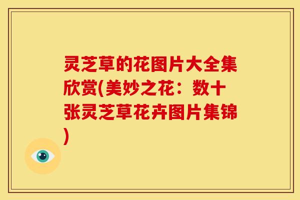 灵芝草的花图片大全集欣赏(美妙之花：数十张灵芝草花卉图片集锦)
