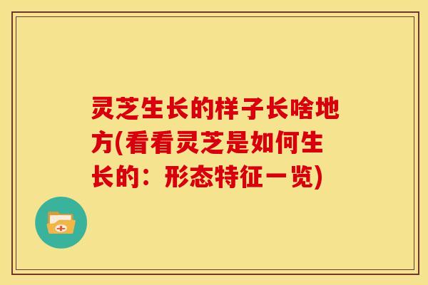 灵芝生长的样子长啥地方(看看灵芝是如何生长的:形态特征一览)