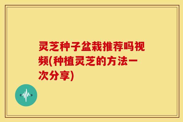 灵芝种子盆栽推荐吗视频(种植灵芝的方法一次分享)