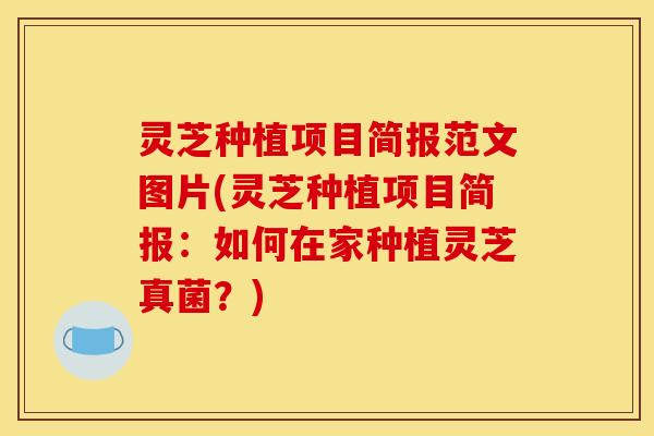 灵芝种植项目简报范文图片(灵芝种植项目简报:如何在家种植灵芝真菌?)