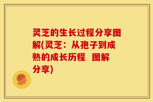 灵芝的生长过程分享图解(灵芝:从孢子到成熟的成长历程 图解分享)