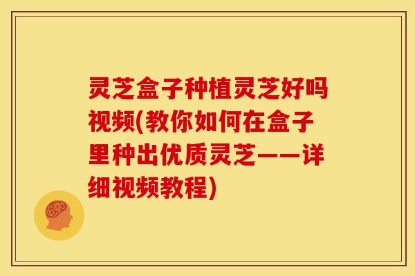 灵芝盒子种植灵芝好吗视频(教你如何在盒子里种出优质灵芝——详细视频教程)