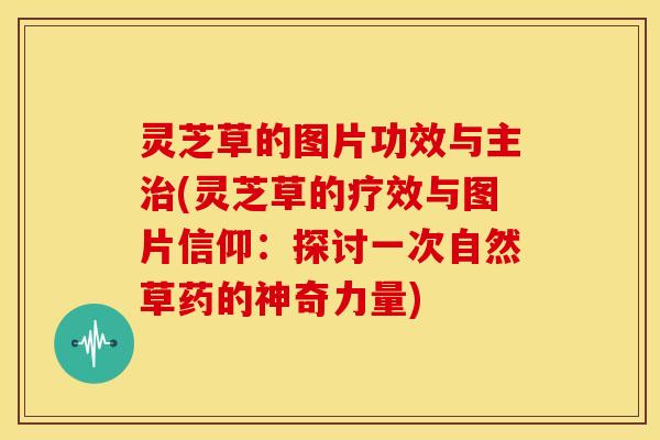 灵芝草的图片功效与主治(灵芝草的疗效与图片信仰：探讨一次自然草药的神奇力量)