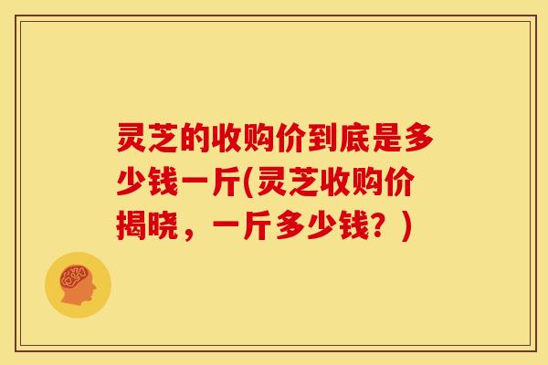 灵芝的收购价到底是多少钱一斤(灵芝收购价揭晓,一斤多少钱?)