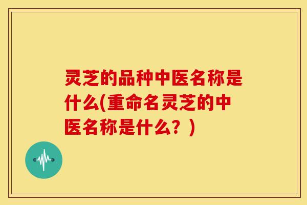 灵芝的品种中医名称是什么(重命名灵芝的中医名称是什么？)