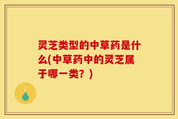 灵芝类型的中草药是什么(中草药中的灵芝属于哪一类?)