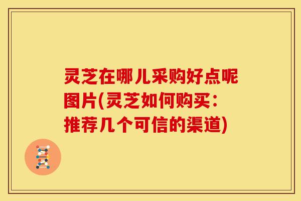 灵芝在哪儿采购好点呢图片(灵芝如何购买:推荐几个可信的渠道)