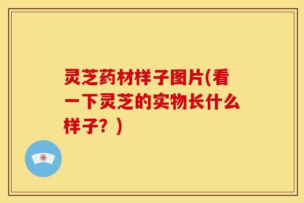 灵芝药材样子图片(看一下灵芝的实物长什么样子?)