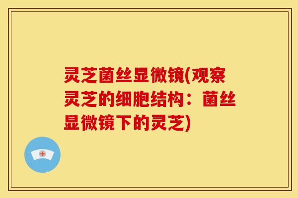 灵芝菌丝显微镜(观察灵芝的细胞结构：菌丝显微镜下的灵芝)