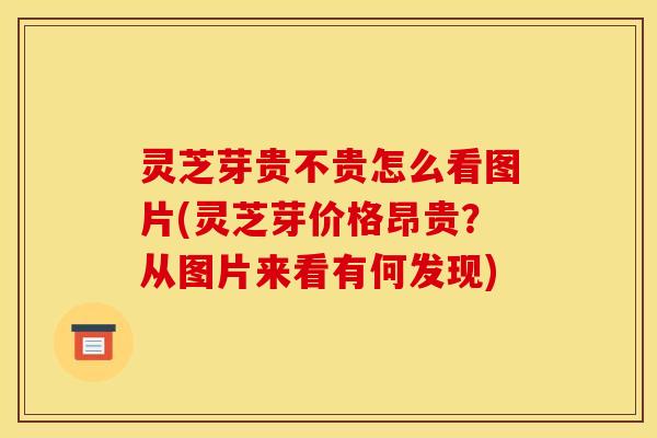 灵芝芽贵不贵怎么看图片(灵芝芽价格昂贵?从图片来看有何发现)