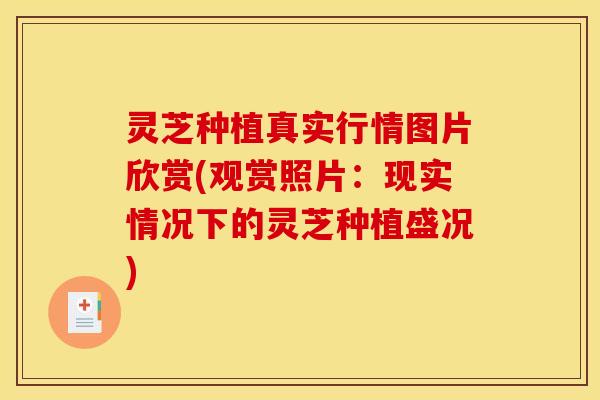 灵芝种植真实行情图片欣赏(观赏照片:现实情况下的灵芝种植盛况)