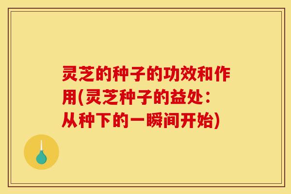 灵芝的种子的功效和作用(灵芝种子的益处:从种下的一瞬间开始)