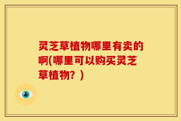 灵芝草植物哪里有卖的啊(哪里可以购买灵芝草植物？)