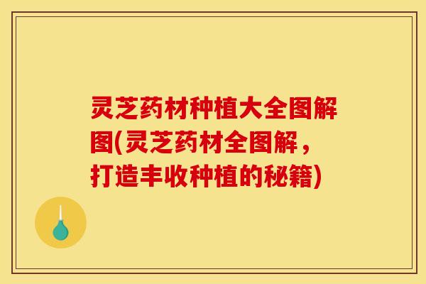 灵芝药材种植大全图解图(灵芝药材全图解,打造丰收种植的秘籍)