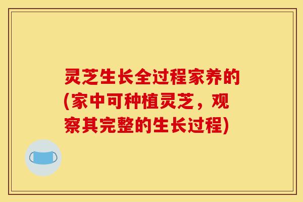 灵芝生长全过程家养的(家中可种植灵芝,观察其完整的生长过程)