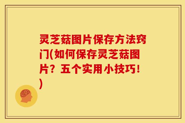 灵芝菇图片保存方法窍门(如何保存灵芝菇图片？五个实用小技巧！)