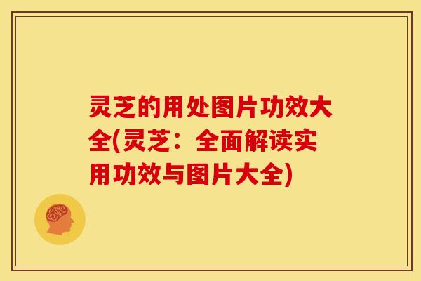 灵芝的用处图片功效大全(灵芝:全面解读实用功效与图片大全)