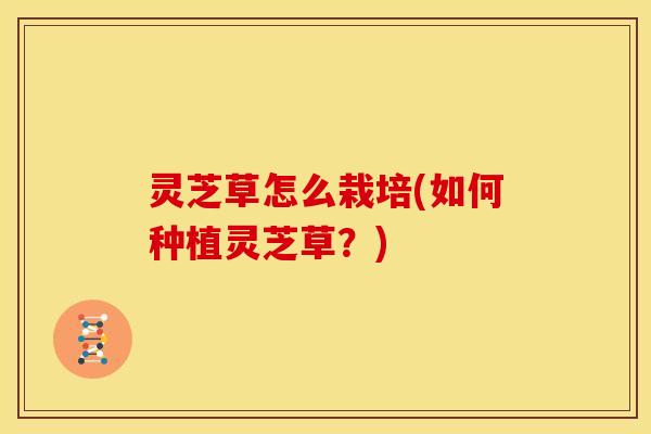 灵芝草怎么栽培(如何种植灵芝草?)