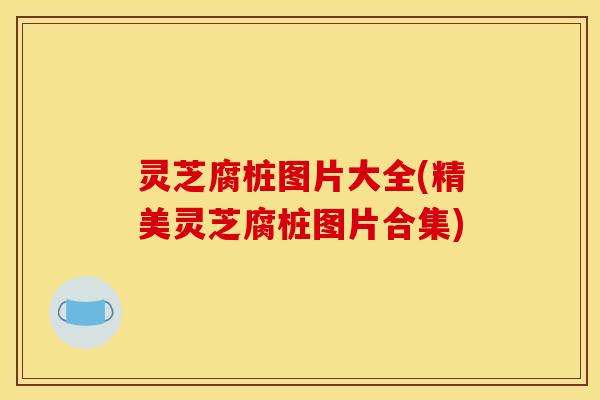 灵芝腐桩图片大全(精美灵芝腐桩图片合集)