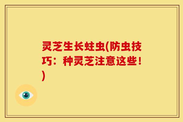 灵芝生长蛀虫(防虫技巧:种灵芝注意这些!)