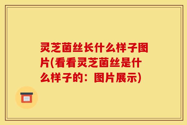 灵芝菌丝长什么样子图片(看看灵芝菌丝是什么样子的:图片展示)