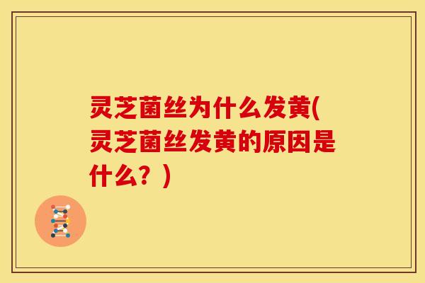 灵芝菌丝为什么发黄(灵芝菌丝发黄的原因是什么？)