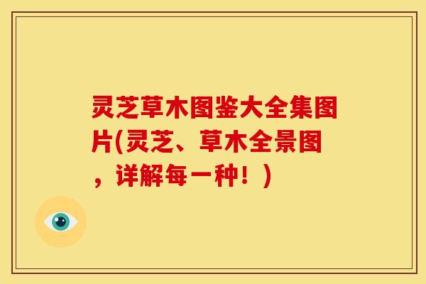 灵芝草木图鉴大全集图片(灵芝、草木全景图,详解每一种!)