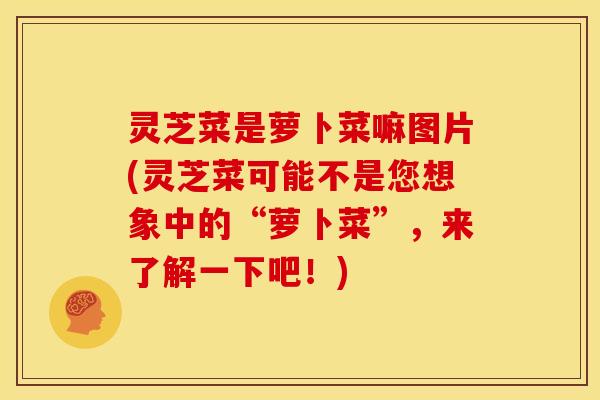 灵芝菜是萝卜菜嘛图片(灵芝菜可能不是您想象中的“萝卜菜”,来了解一下吧!)