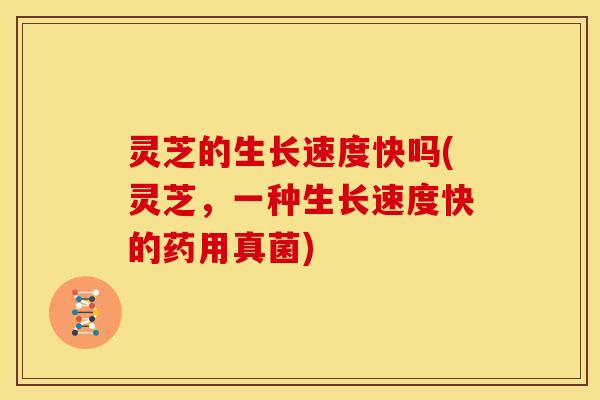 灵芝的生长速度快吗(灵芝,一种生长速度快的药用真菌)