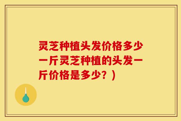 灵芝种植头发价格多少一斤灵芝种植的头发一斤价格是多少?)