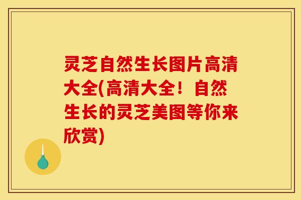 灵芝自然生长图片高清大全(高清大全！自然生长的灵芝美图等你来欣赏)