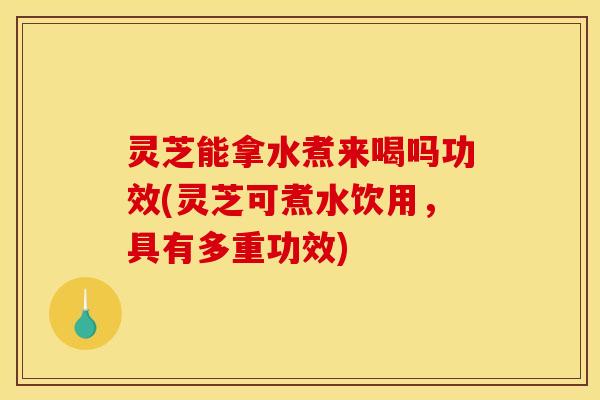 灵芝能拿水煮来喝吗功效(灵芝可煮水饮用,具有多重功效)