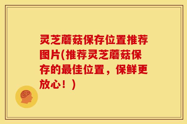 灵芝蘑菇保存位置推荐图片(推荐灵芝蘑菇保存的最佳位置,保鲜更放心!)