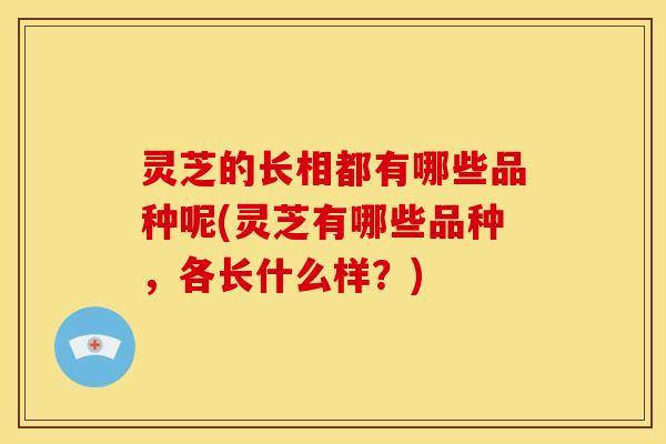灵芝的长相都有哪些品种呢(灵芝有哪些品种，各长什么样？)