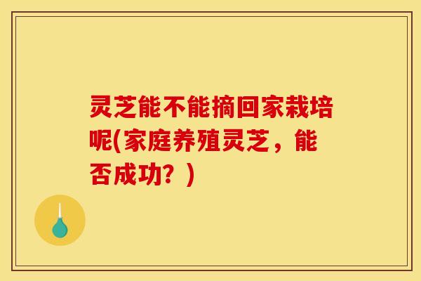 灵芝能不能摘回家栽培呢(家庭养殖灵芝，能否成功？)