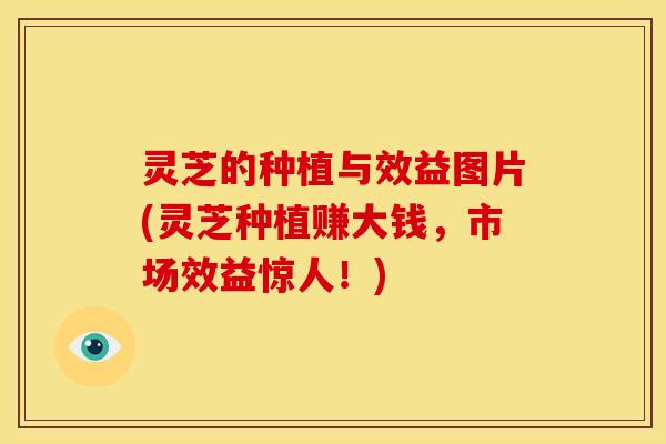灵芝的种植与效益图片(灵芝种植赚大钱,市场效益惊人!)