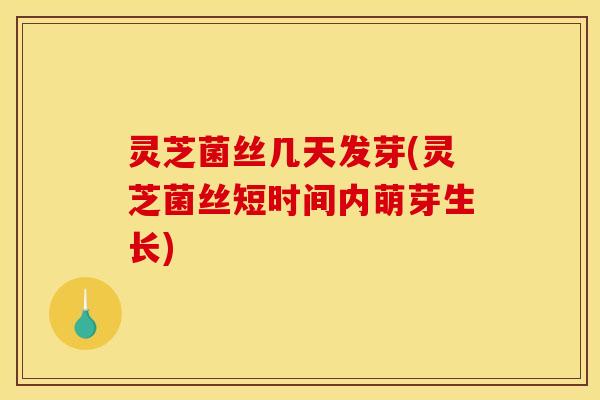 灵芝菌丝几天发芽(灵芝菌丝短时间内萌芽生长)