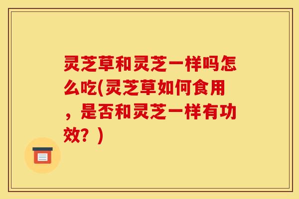 灵芝草和灵芝一样吗怎么吃(灵芝草如何食用,是否和灵芝一样有功效?)